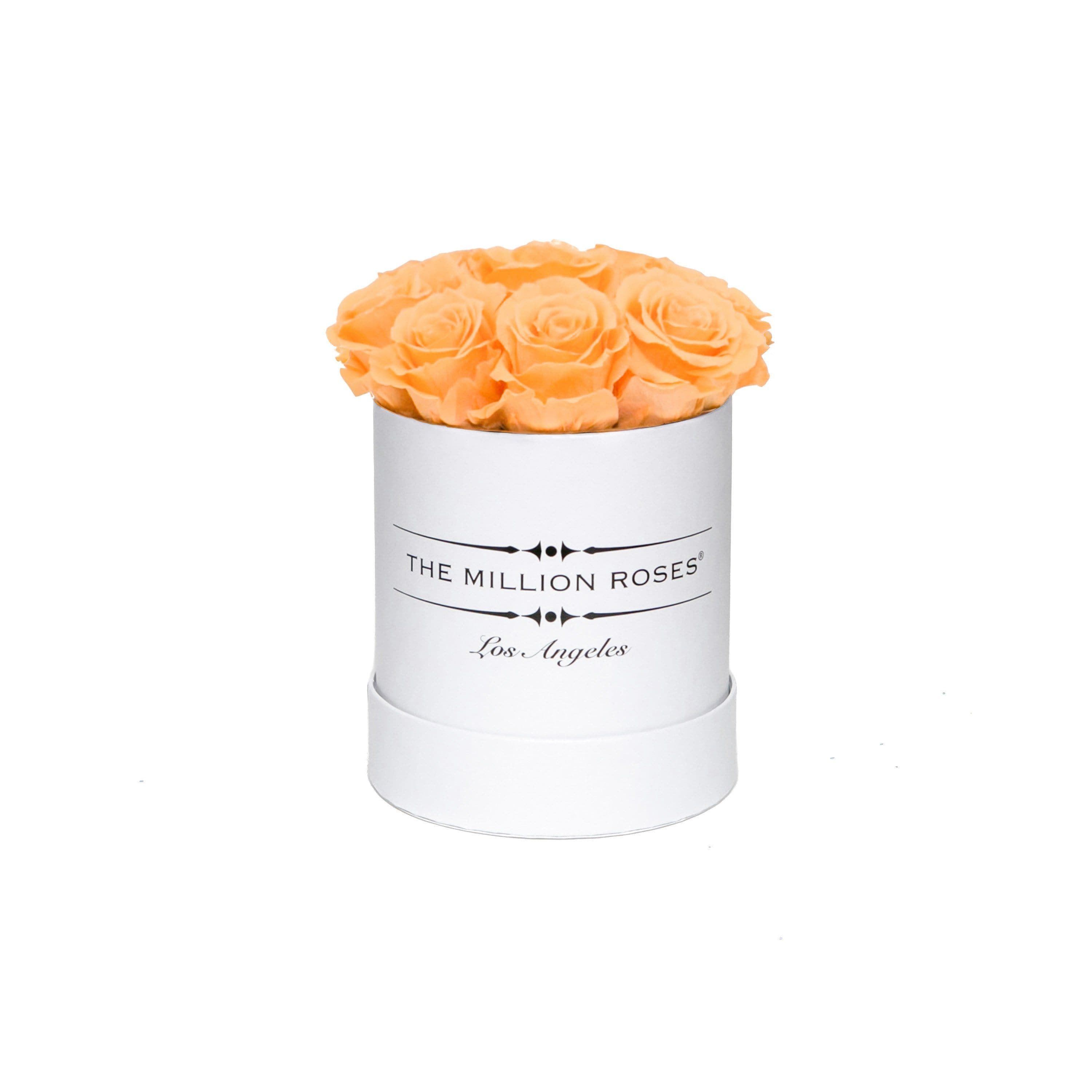Basic White Box | Peach Roses