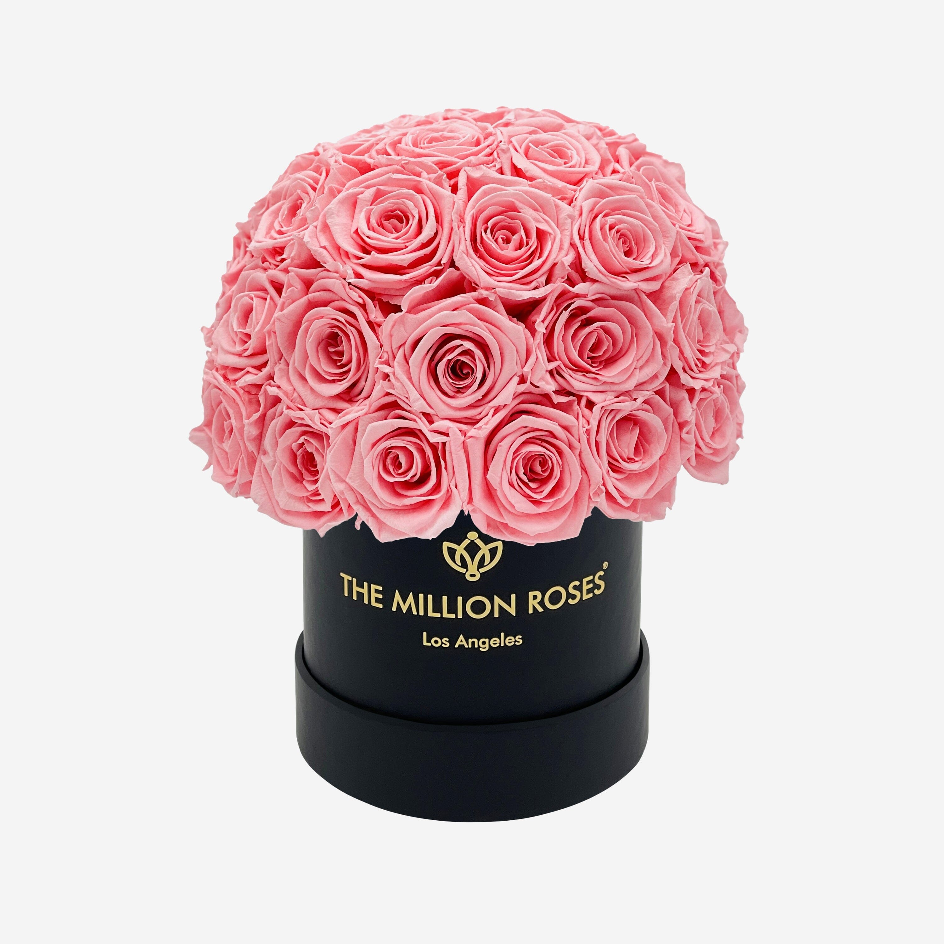 Basic Black Superdome Box | Light Pink Roses