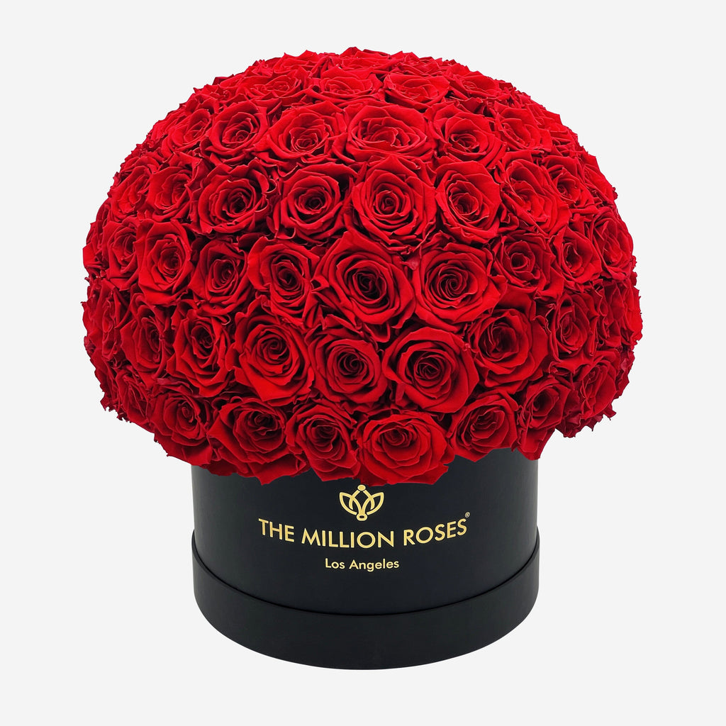 Supreme Black Superdome Box | Red Roses