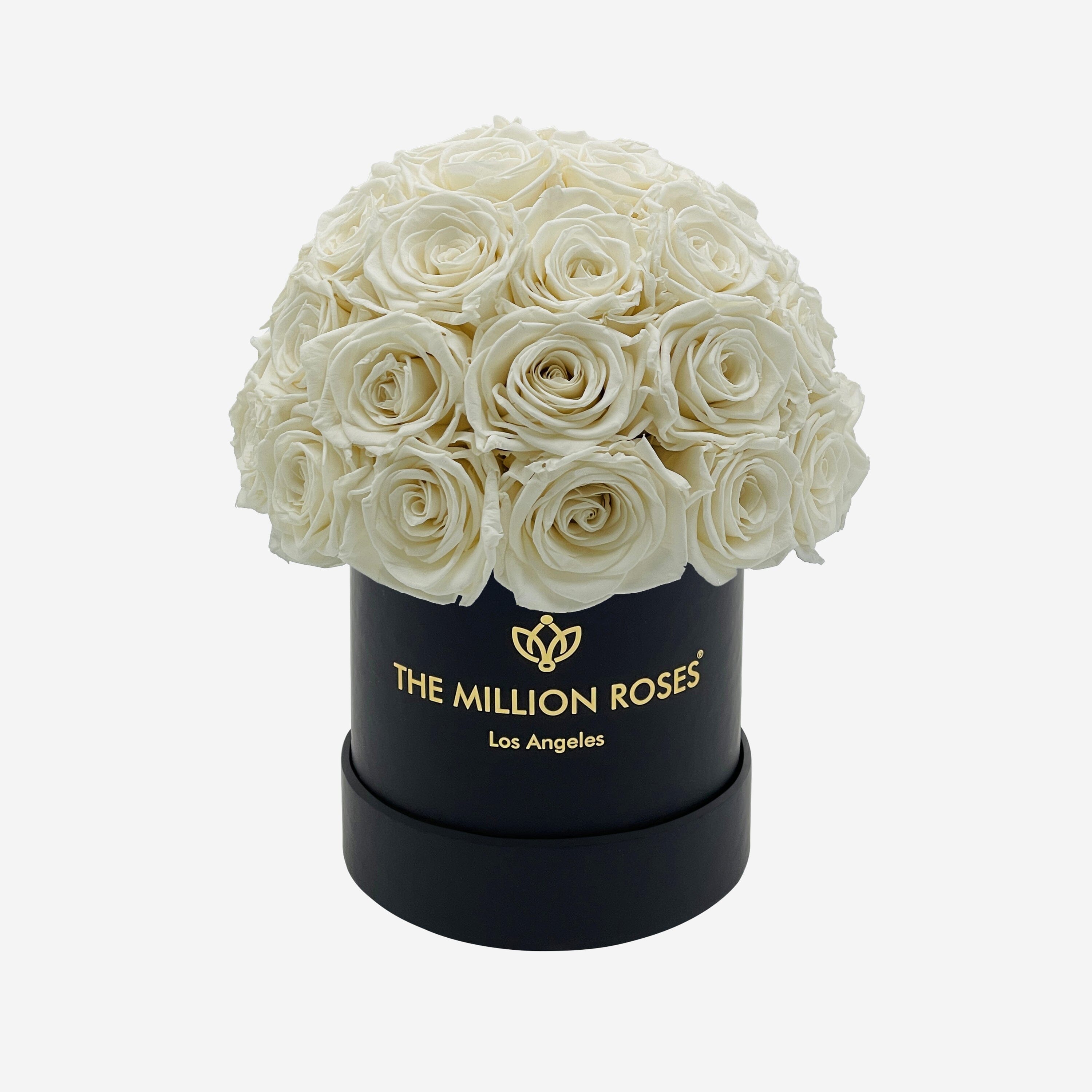 Basic Black Superdome Box | White Roses