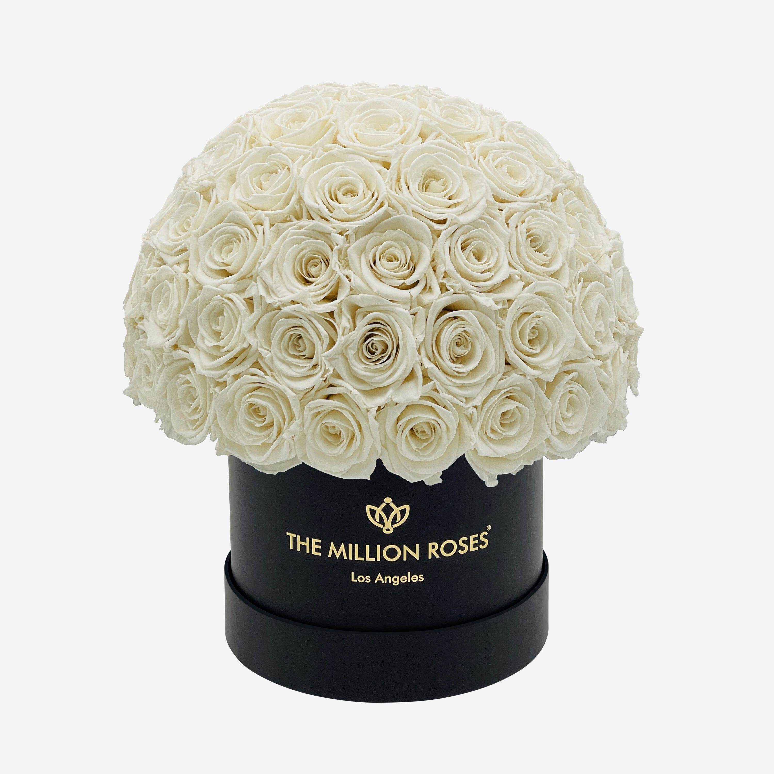 Classic Black Superdome Box | White Roses