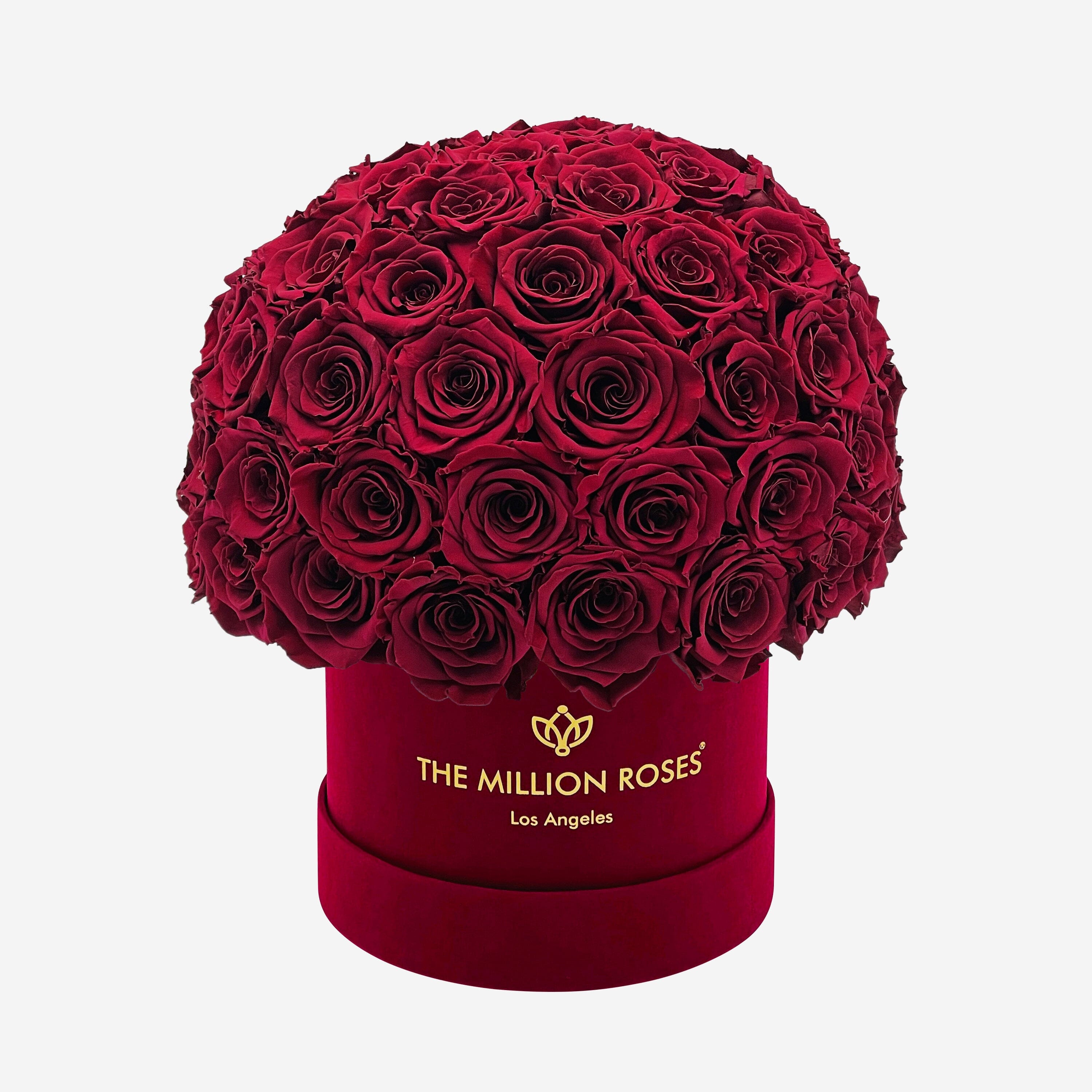 Classic Bordeaux Suede Superdome Box | Burgundy Roses