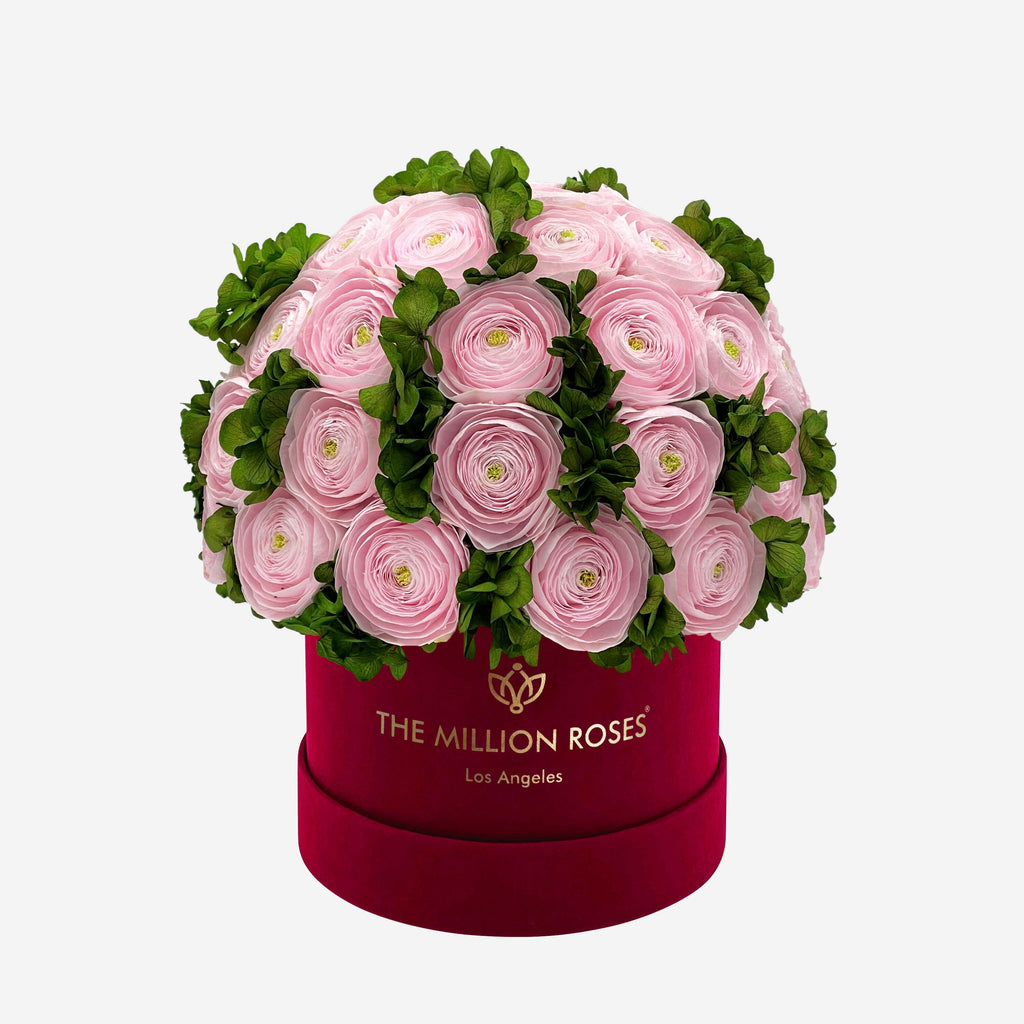 Classic Bordeaux Suede Box | Light Pink Persian Buttercups & Green Hydrangeas