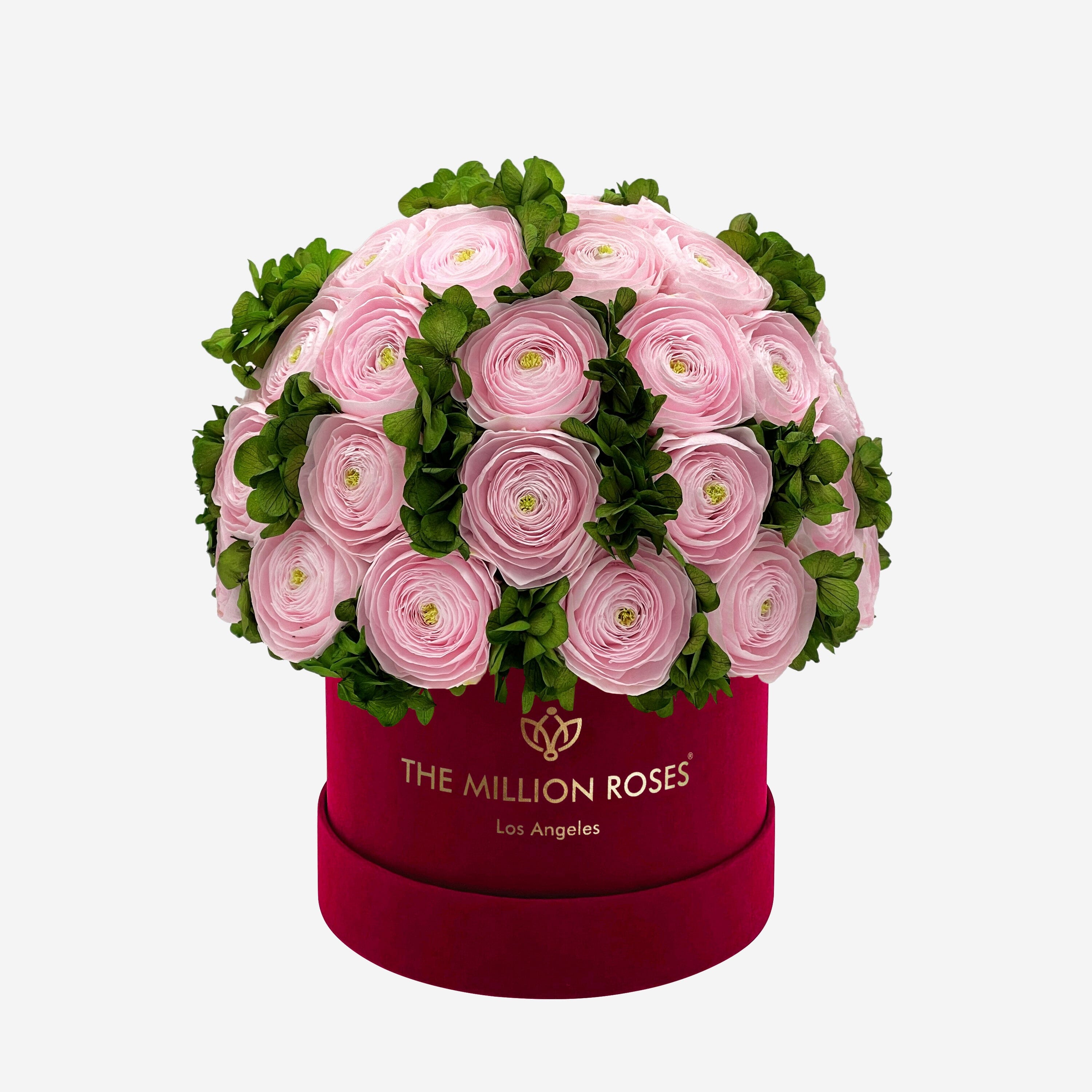 Classic Bordeaux Suede Box | Light Pink Persian Buttercups & Green Hydrangeas