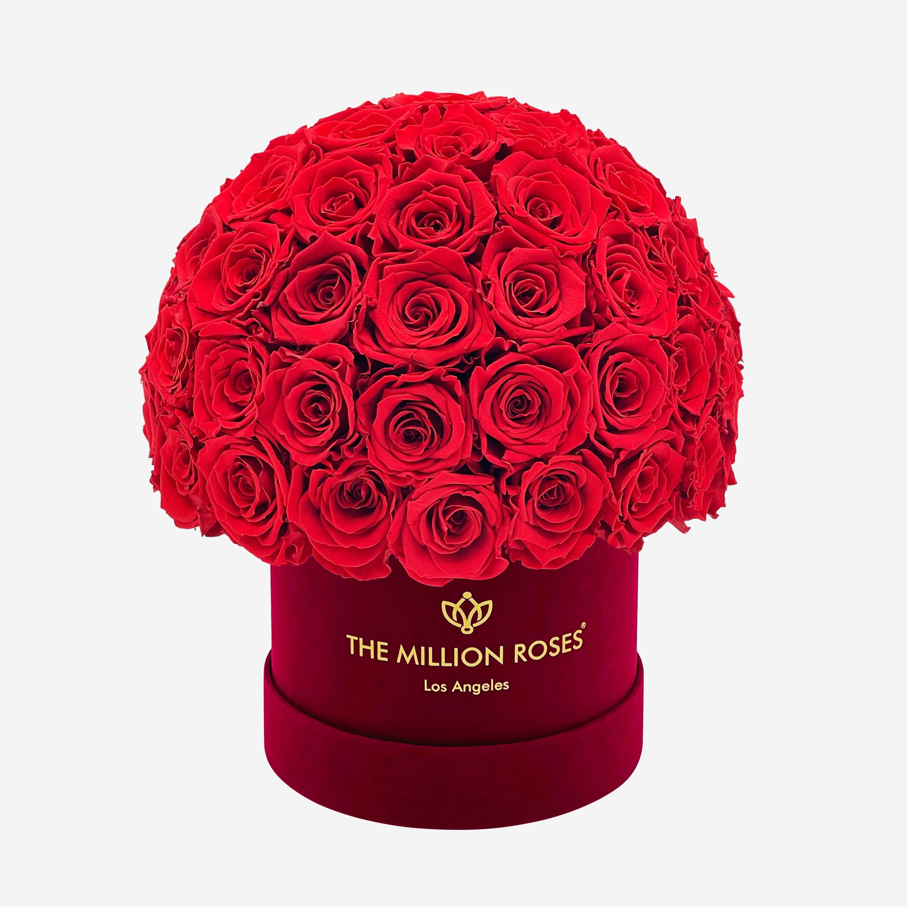 Classic Bordeaux Suede Superdome Box | Red Roses