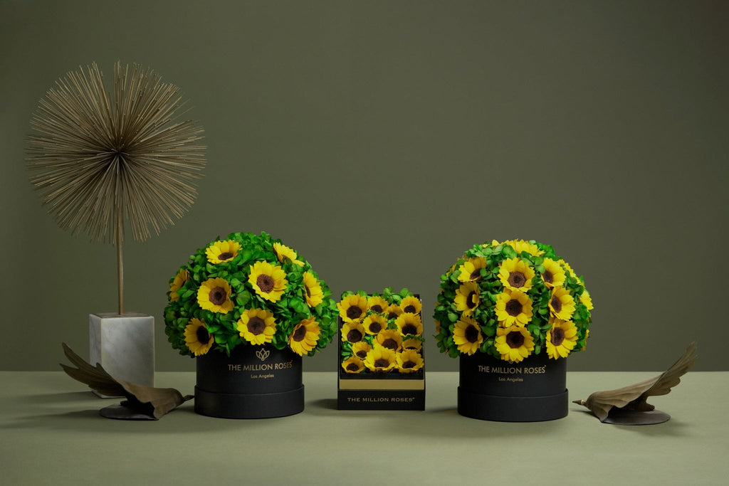 Square Black Box | Sunflowers
