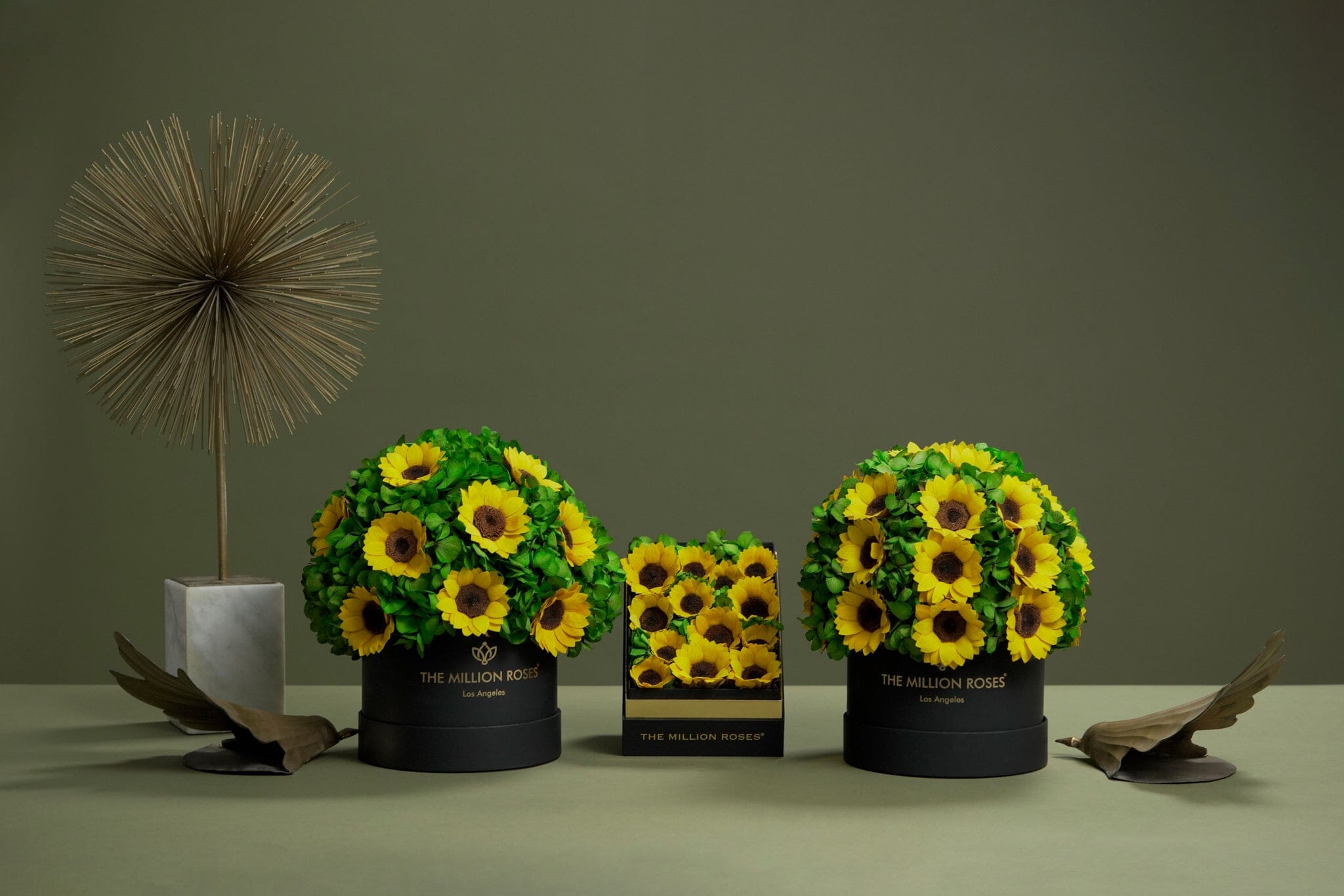 Square Black Box | Sunflowers