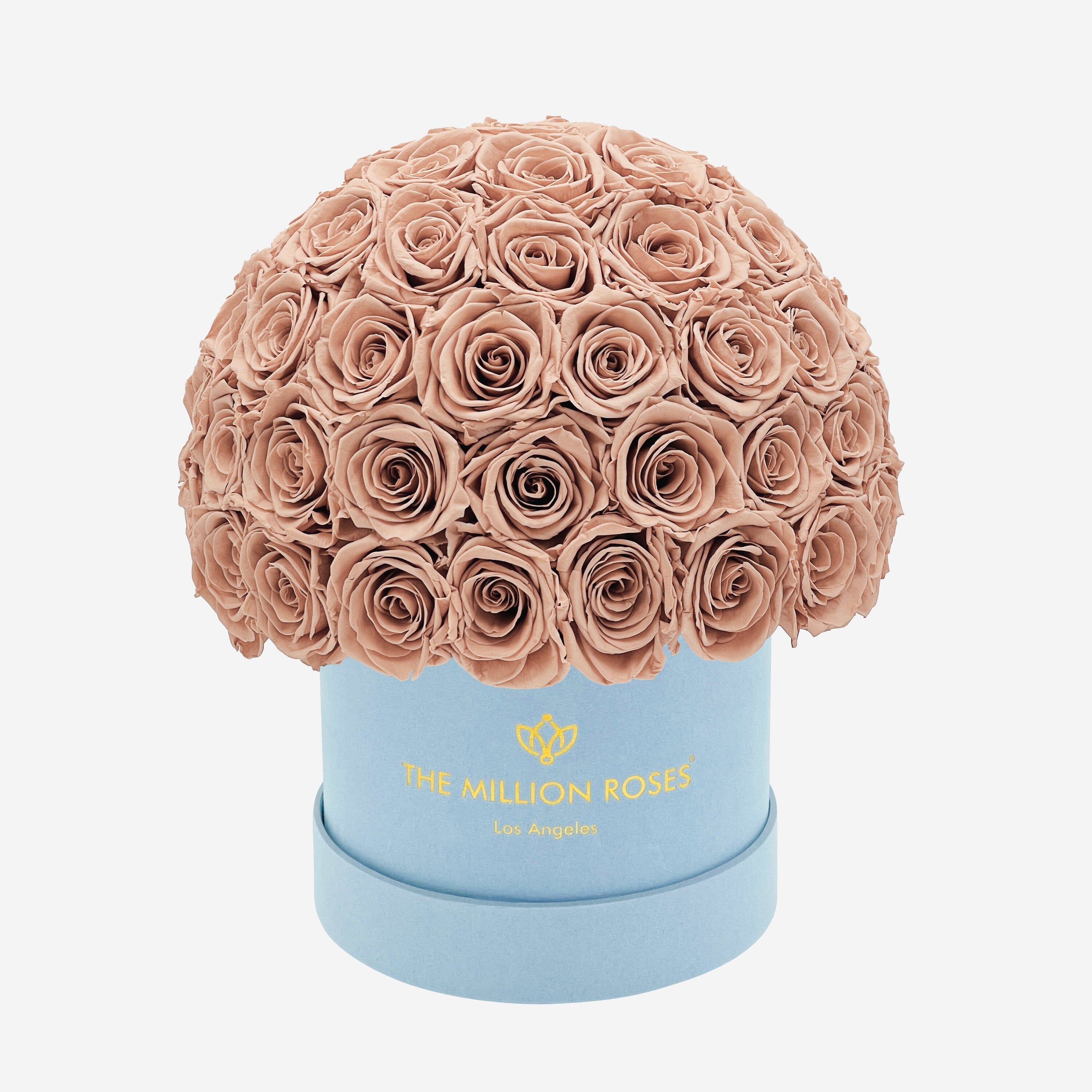 Classic Light Blue Suede Superdome Box | Sand Roses