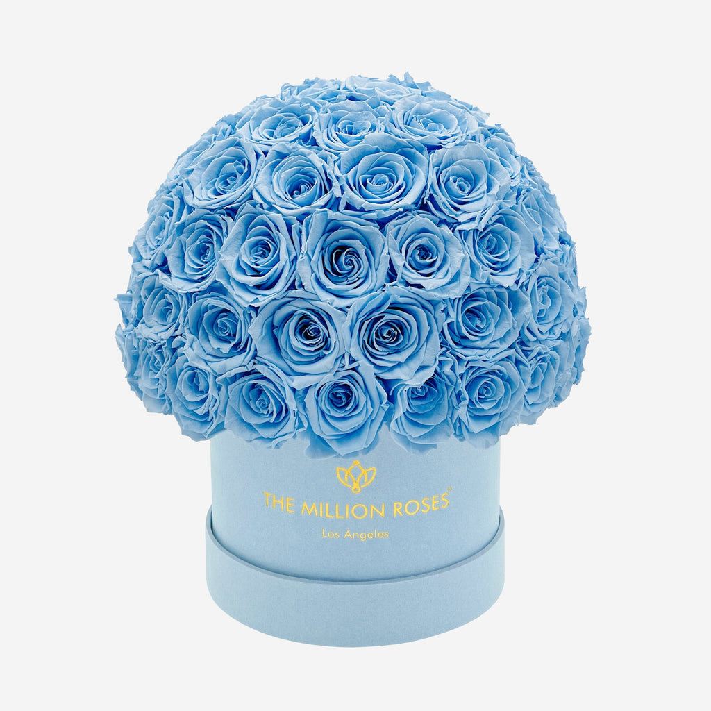 Classic Light Blue Suede Superdome Box | Light Blue Roses