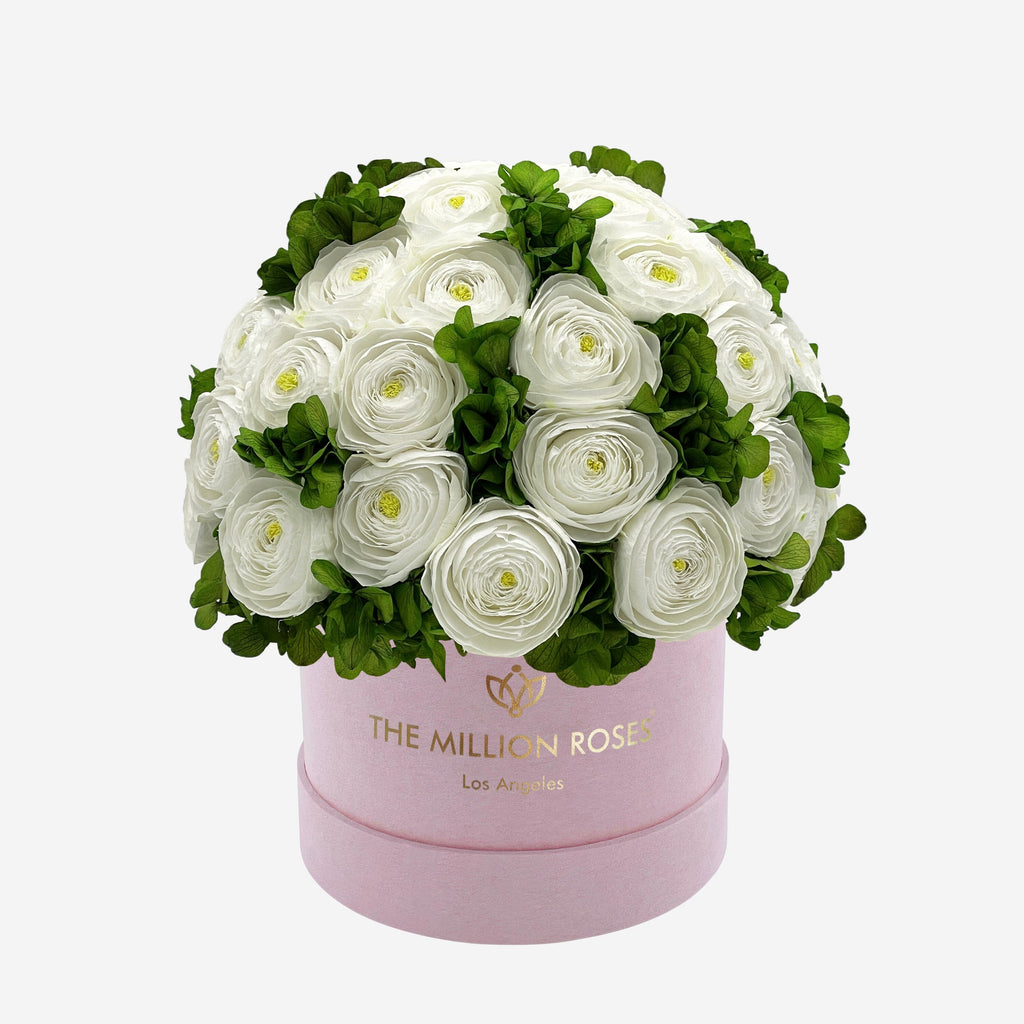Classic Light Pink Suede Box | White Persian Buttercups & Green Hydrangeas