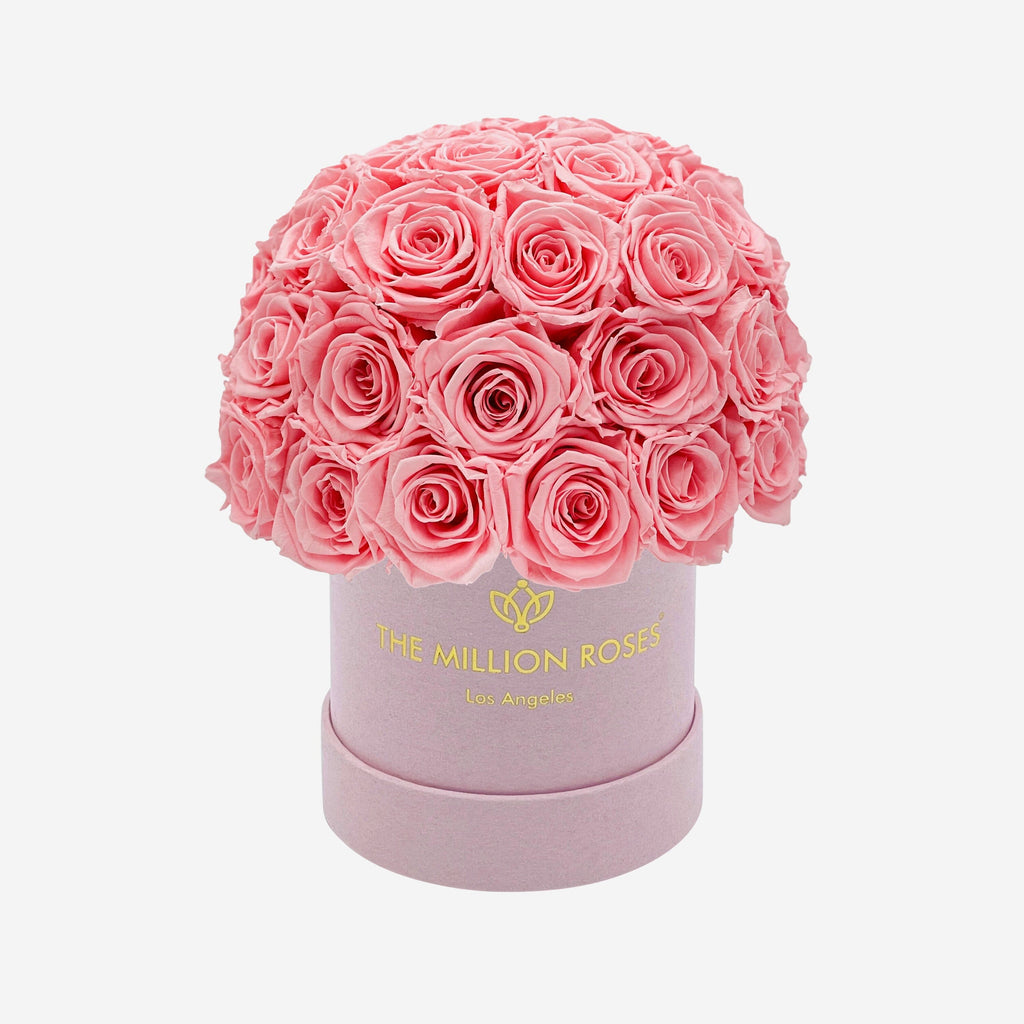 Basic Light Pink Suede Superdome Box | Light Pink Roses