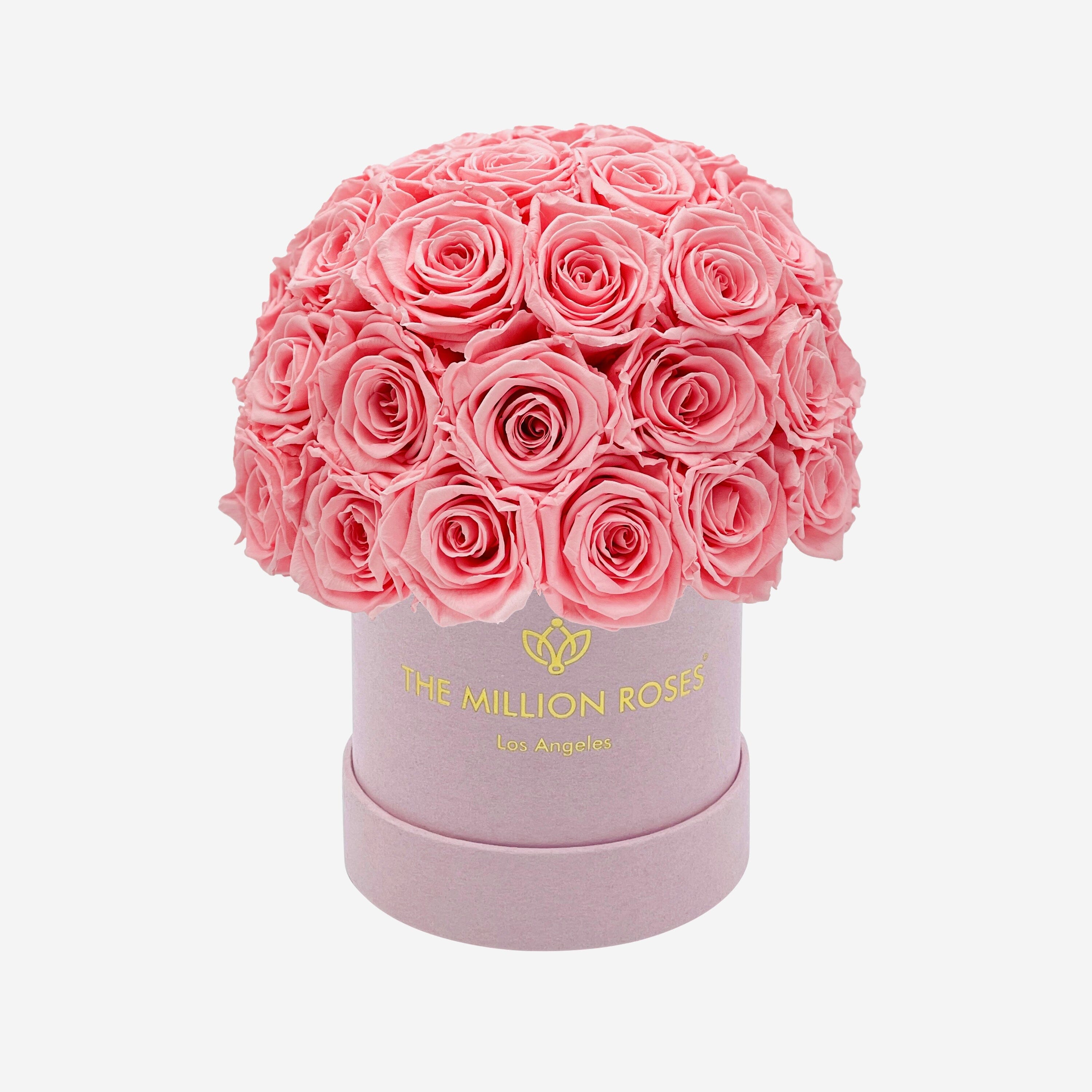 Basic Light Pink Suede Superdome Box | Light Pink Roses
