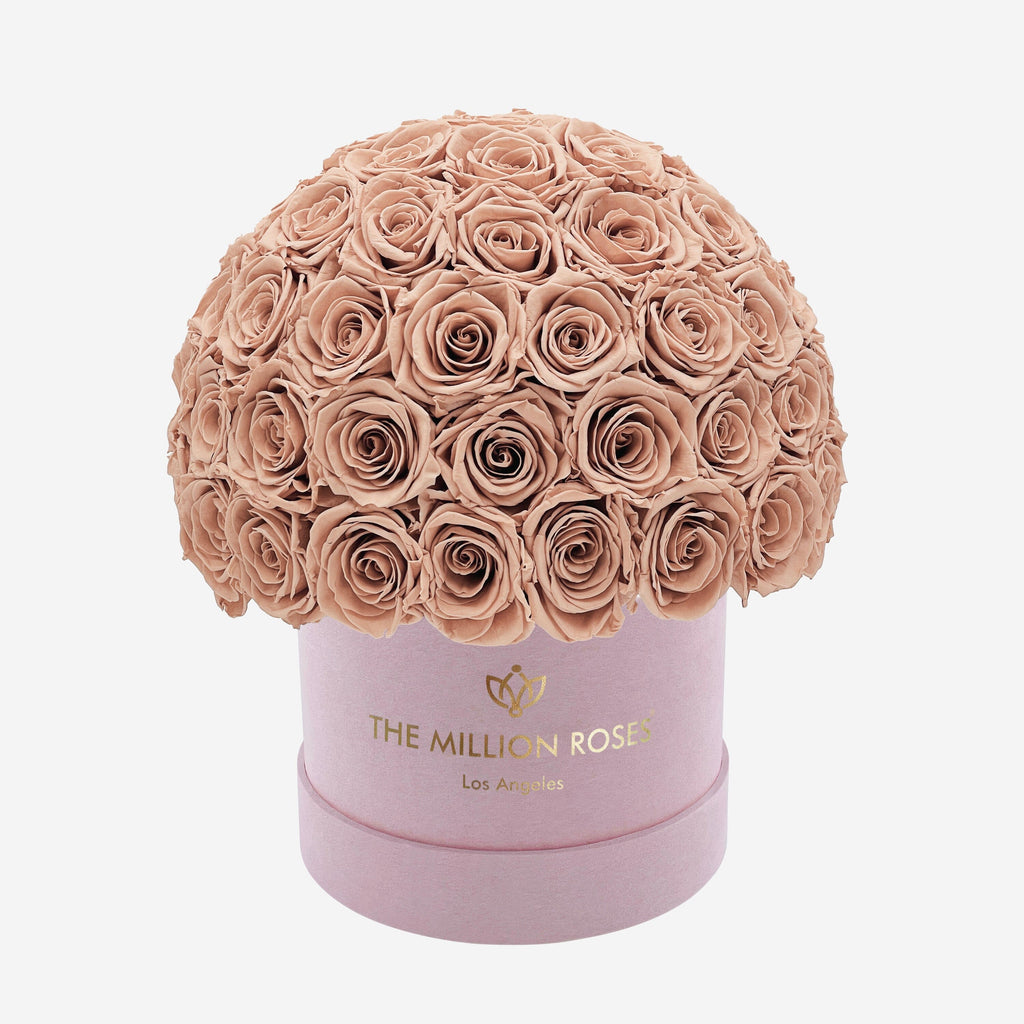 Classic Light Pink Suede Superdome Box | Sand Roses