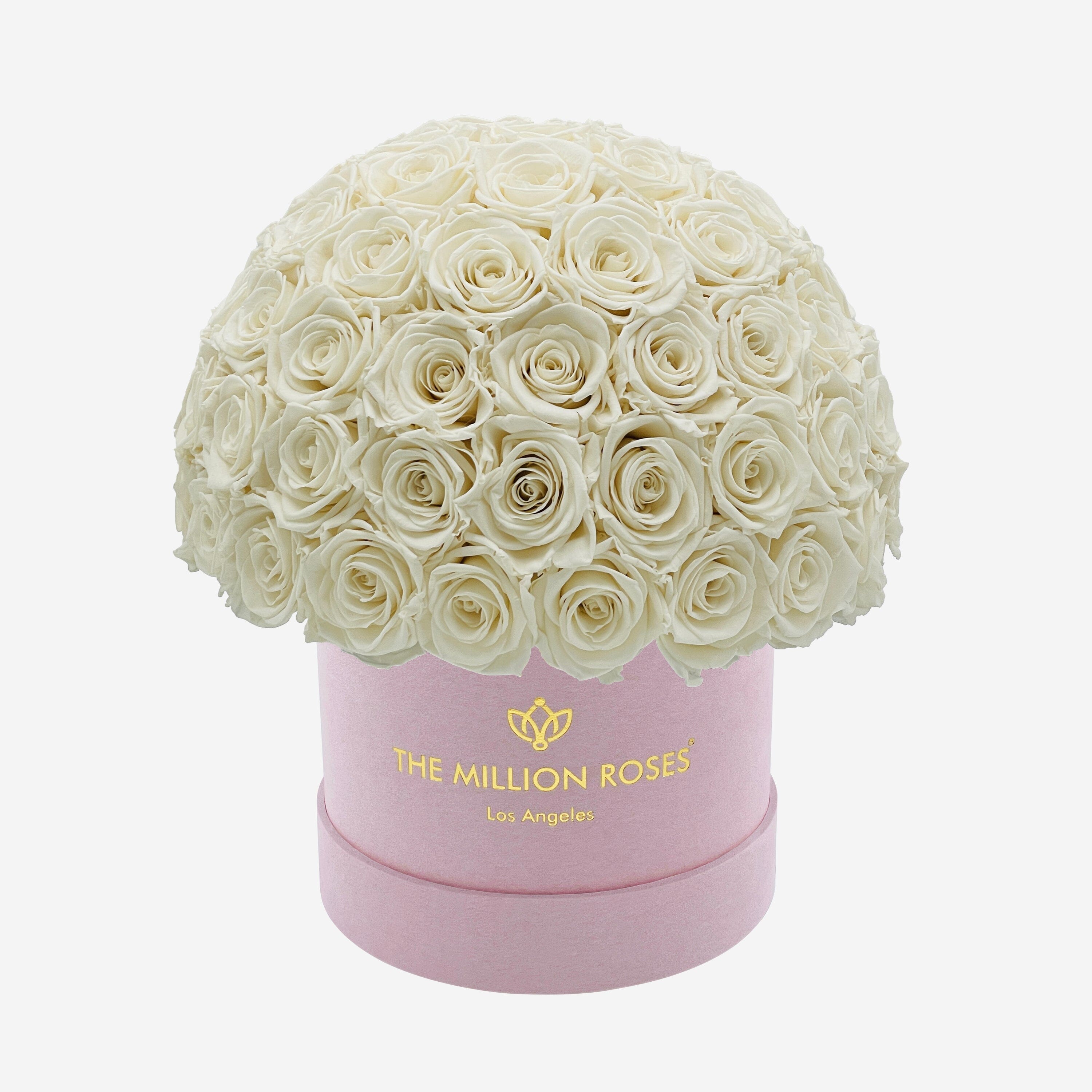 Classic Light Pink Suede Superdome Box | White Roses