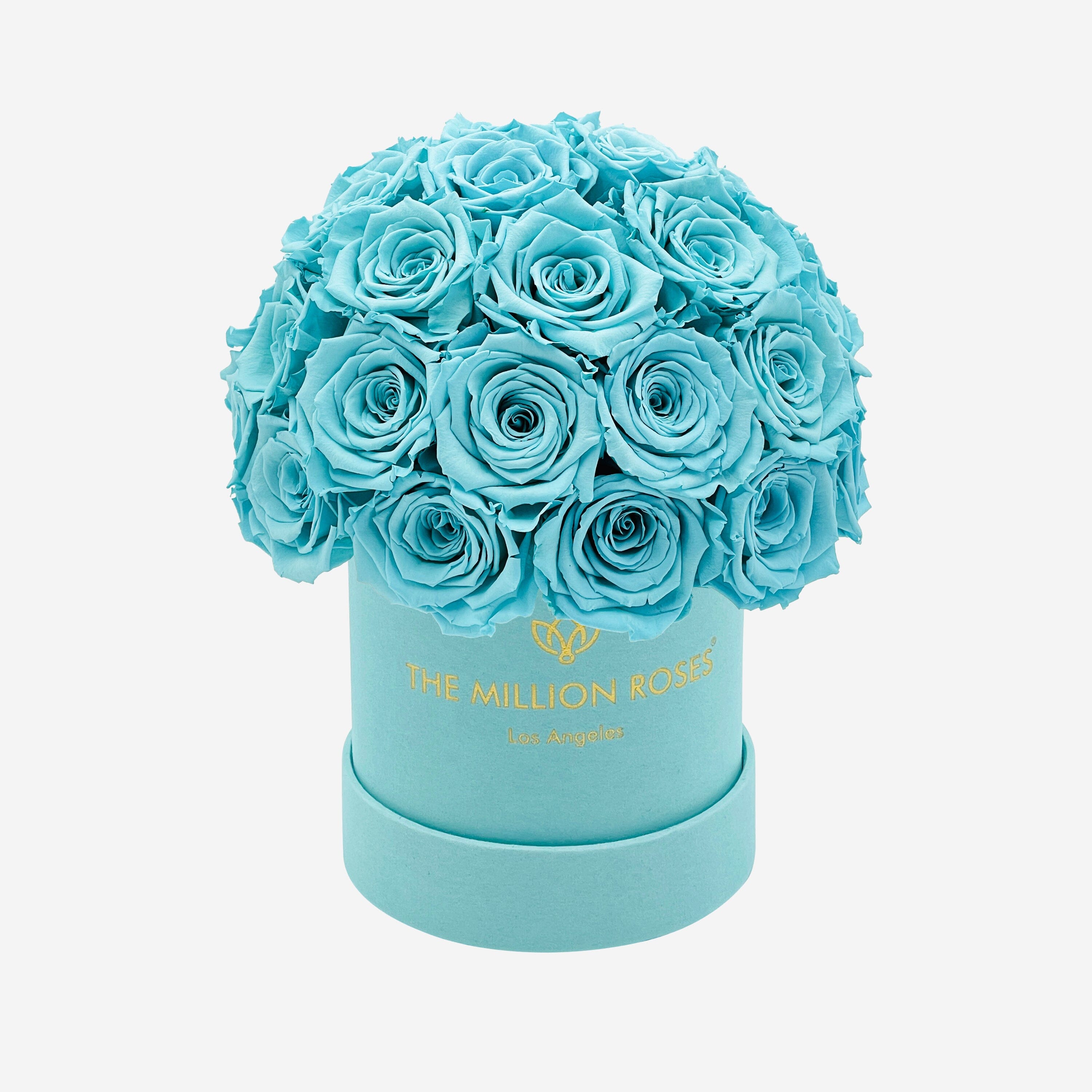 Basic Mint Green Suede Superdome Box | Turquoise Roses