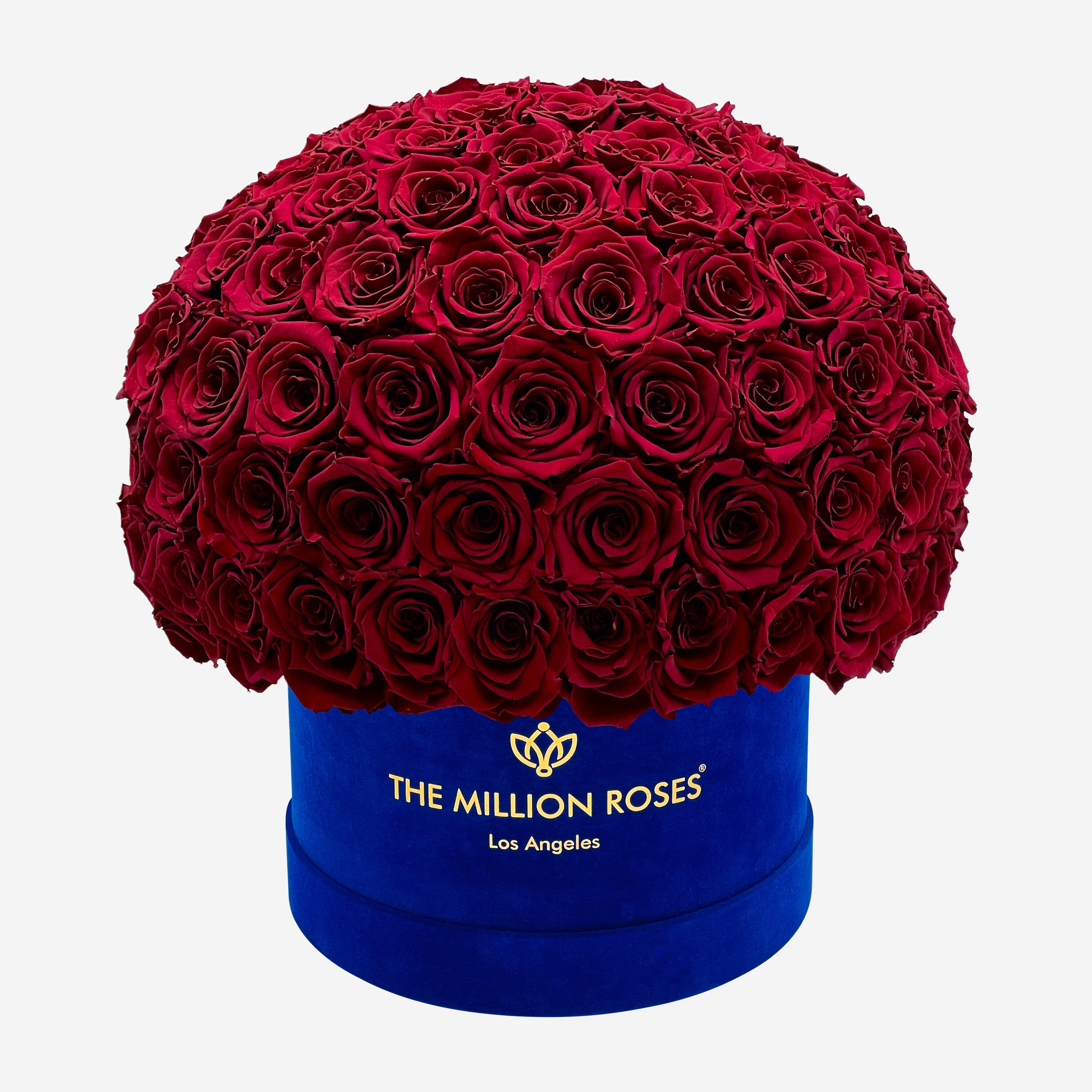 Supreme Royal Blue Suede Superdome Box | Burgundy Roses