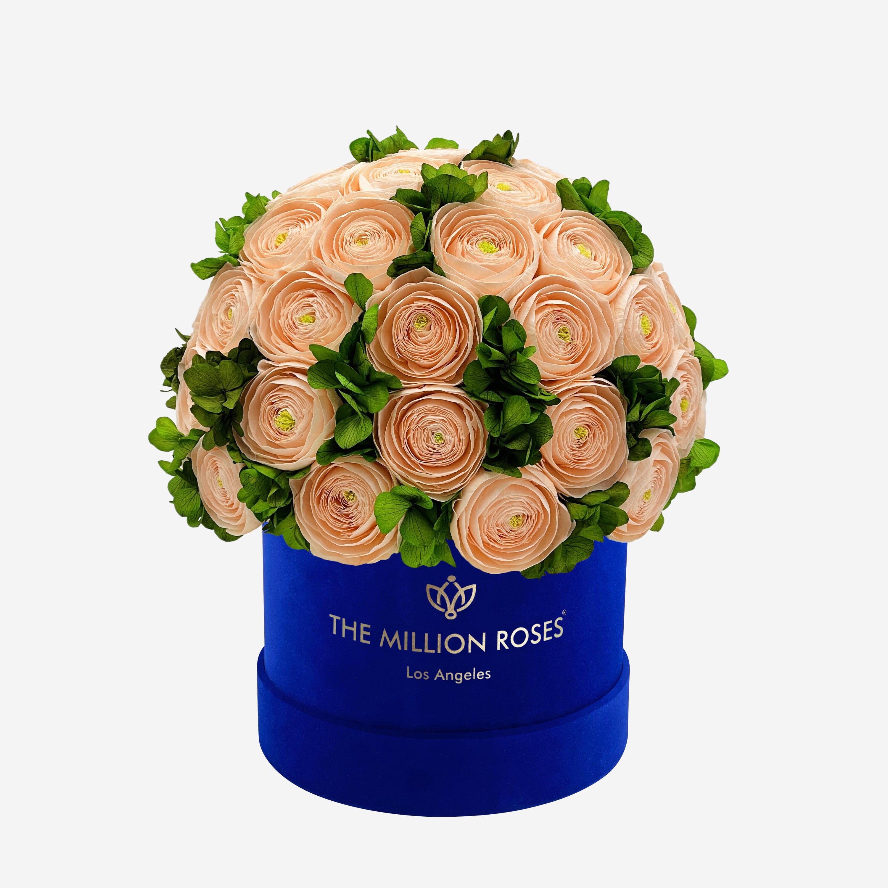 Classic Royal Blue Suede Box | Peach Persian Buttercups & Green Hydrangeas