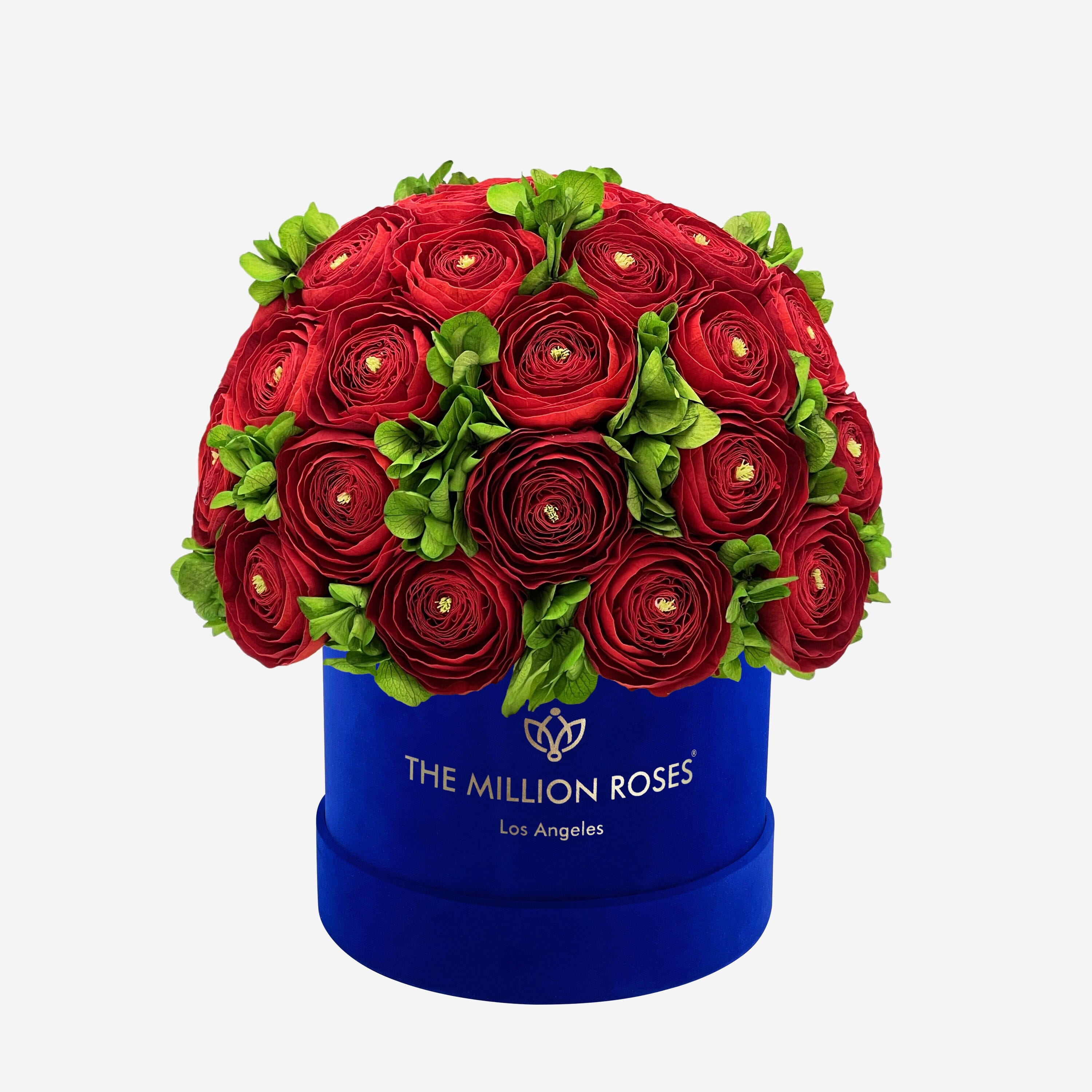 Classic Royal Blue Suede Box | Red Persian Buttercups & Green Hydrangeas