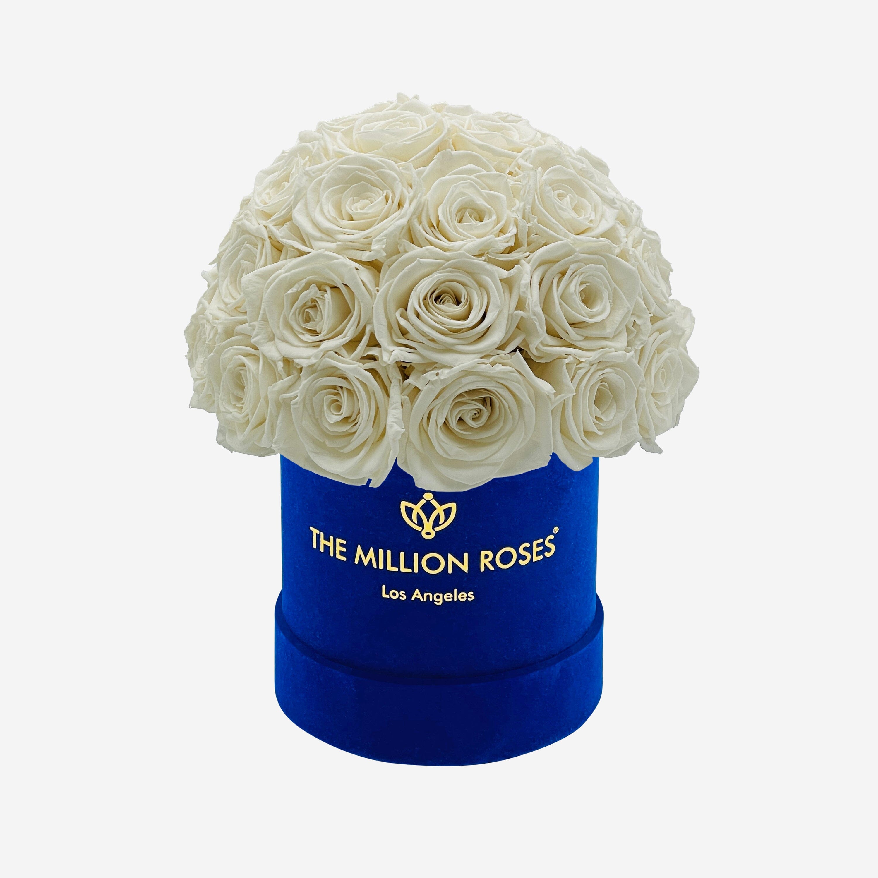 Basic Royal Blue Suede Superdome Box | White Roses