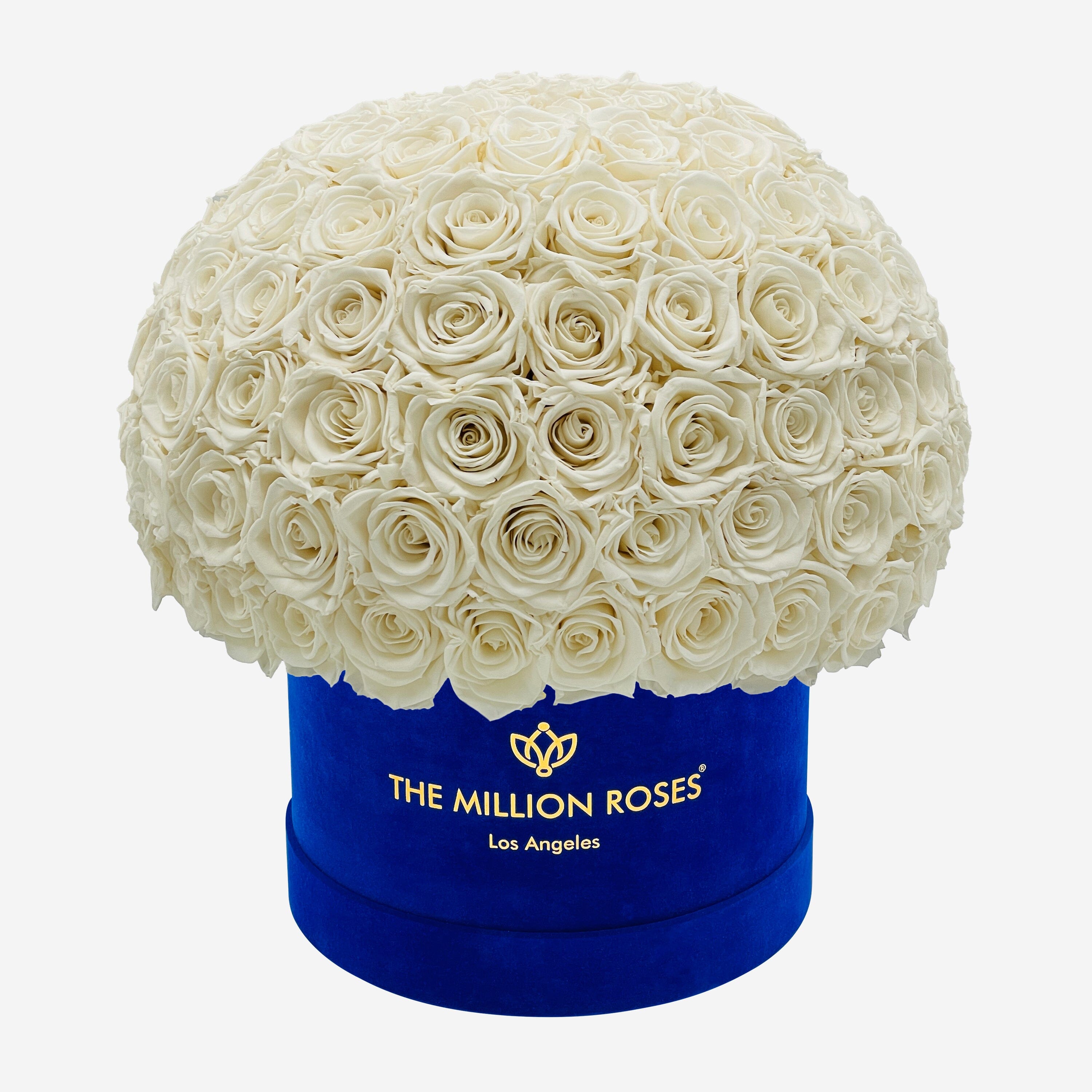 Supreme Royal Blue Suede Superdome Box | White Roses