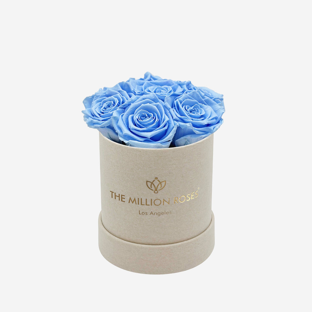 Basic Beige Suede Box | Light Blue Roses