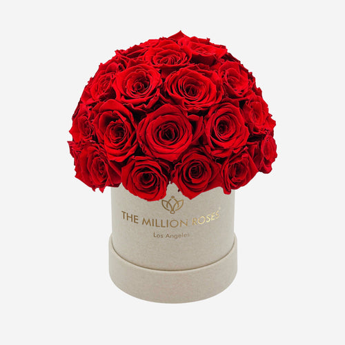 Basic Beige Suede Superdome Box | Red Roses