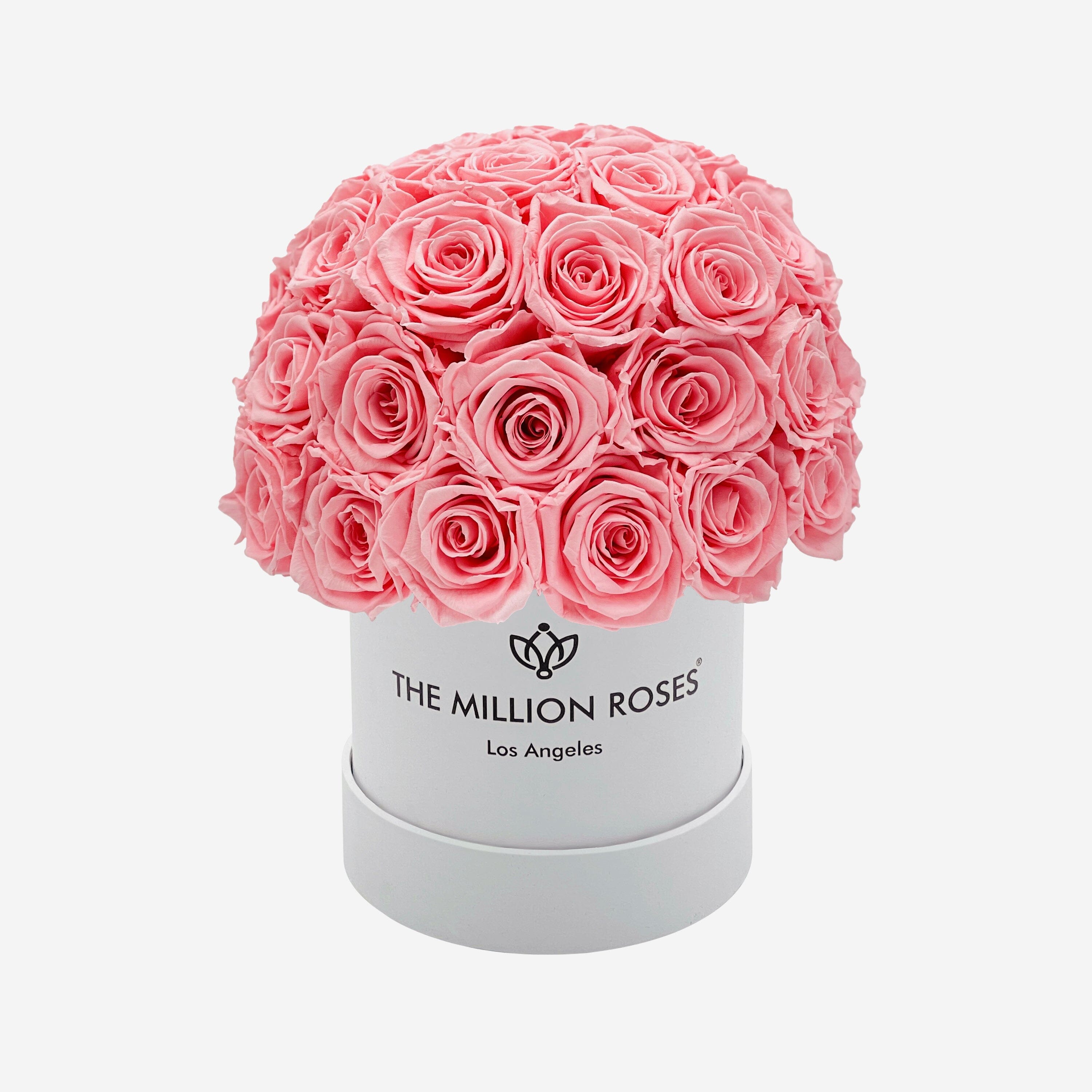 Basic White Superdome Box | Light Pink Roses