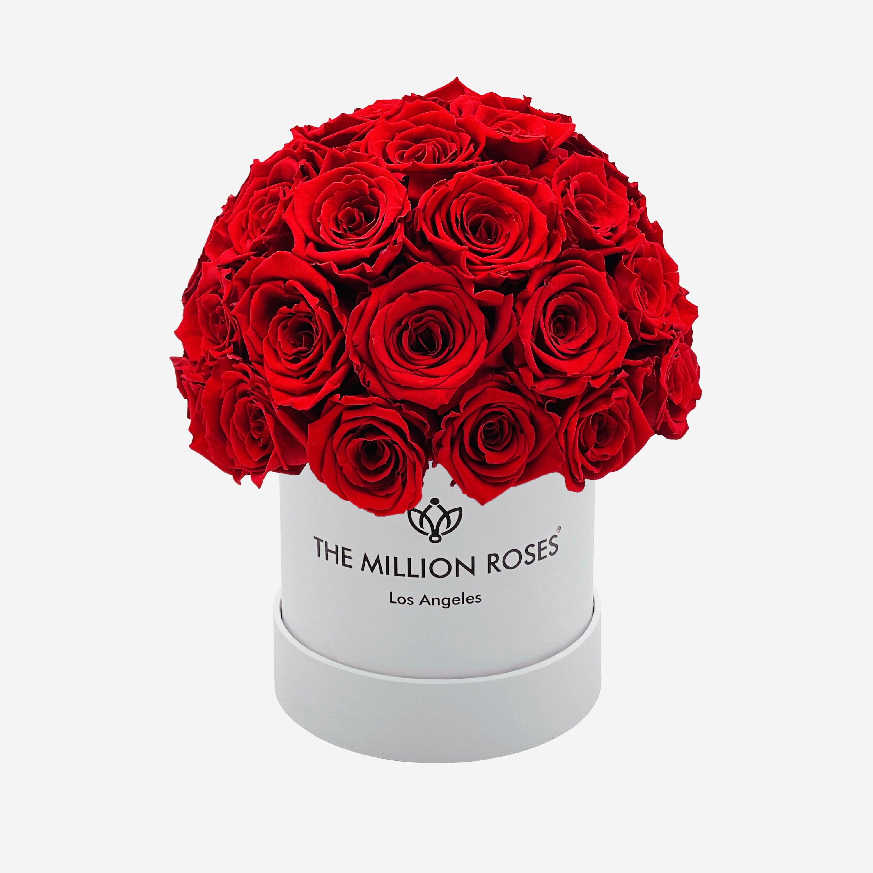 Basic White Superdome Box | Red Roses