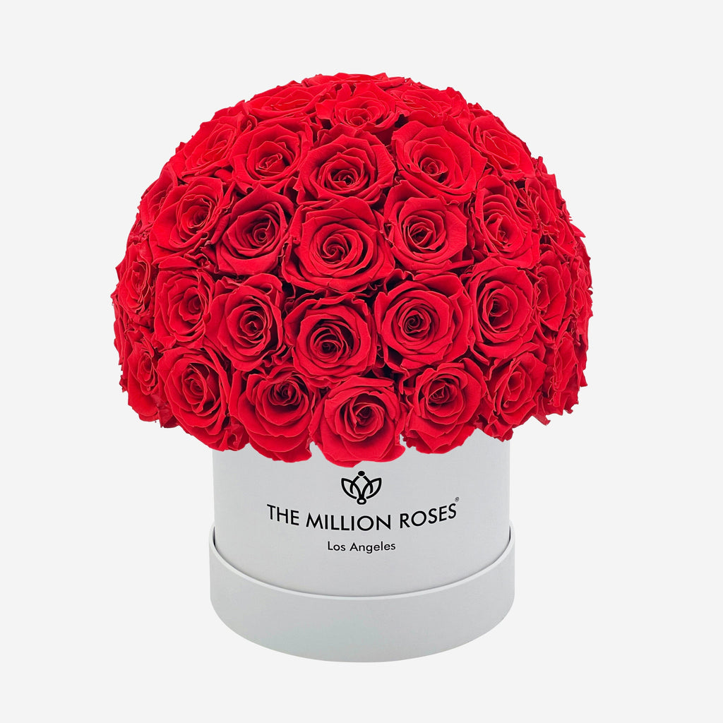 Classic White Superdome Box | Red Roses