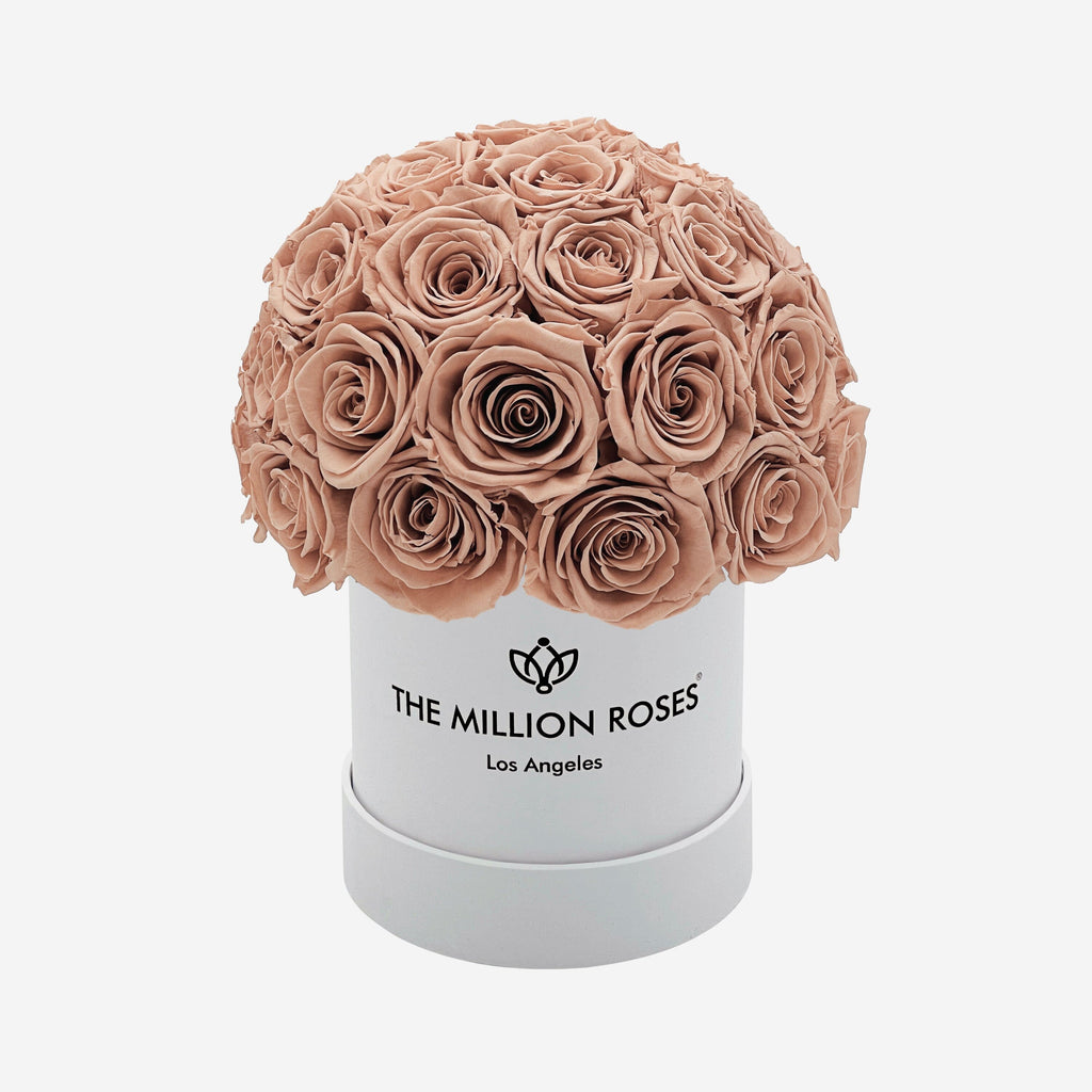Basic White Superdome Box | Sand Roses