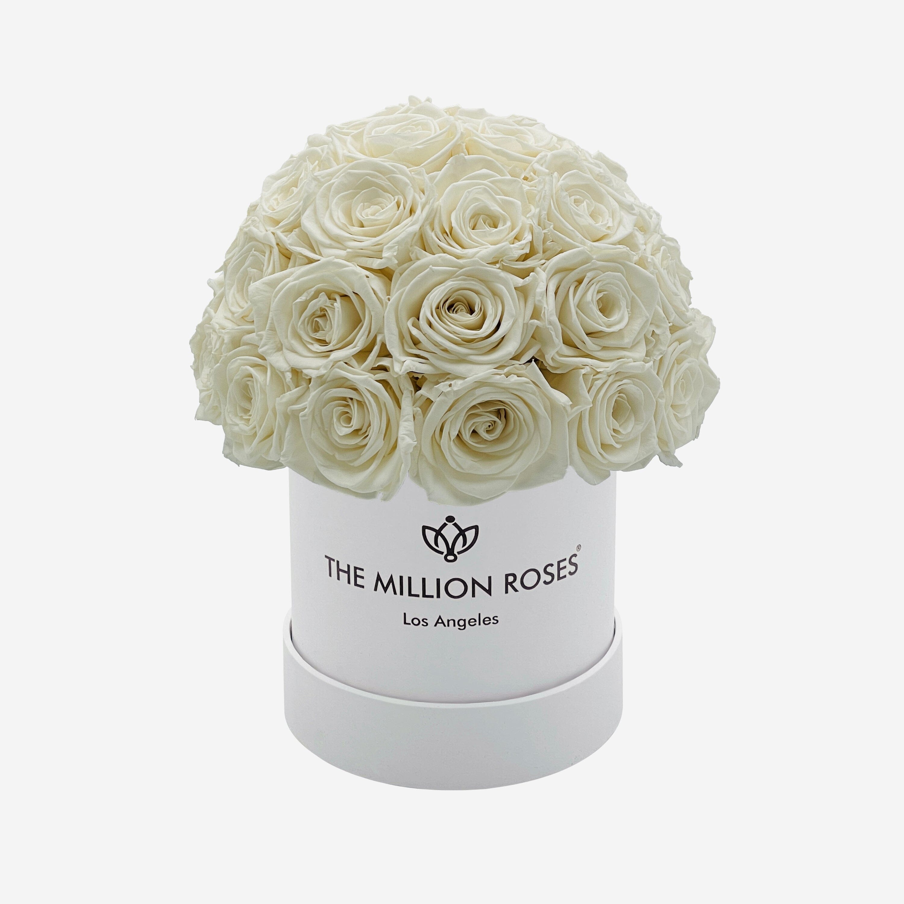 Basic White Superdome Box | White Roses